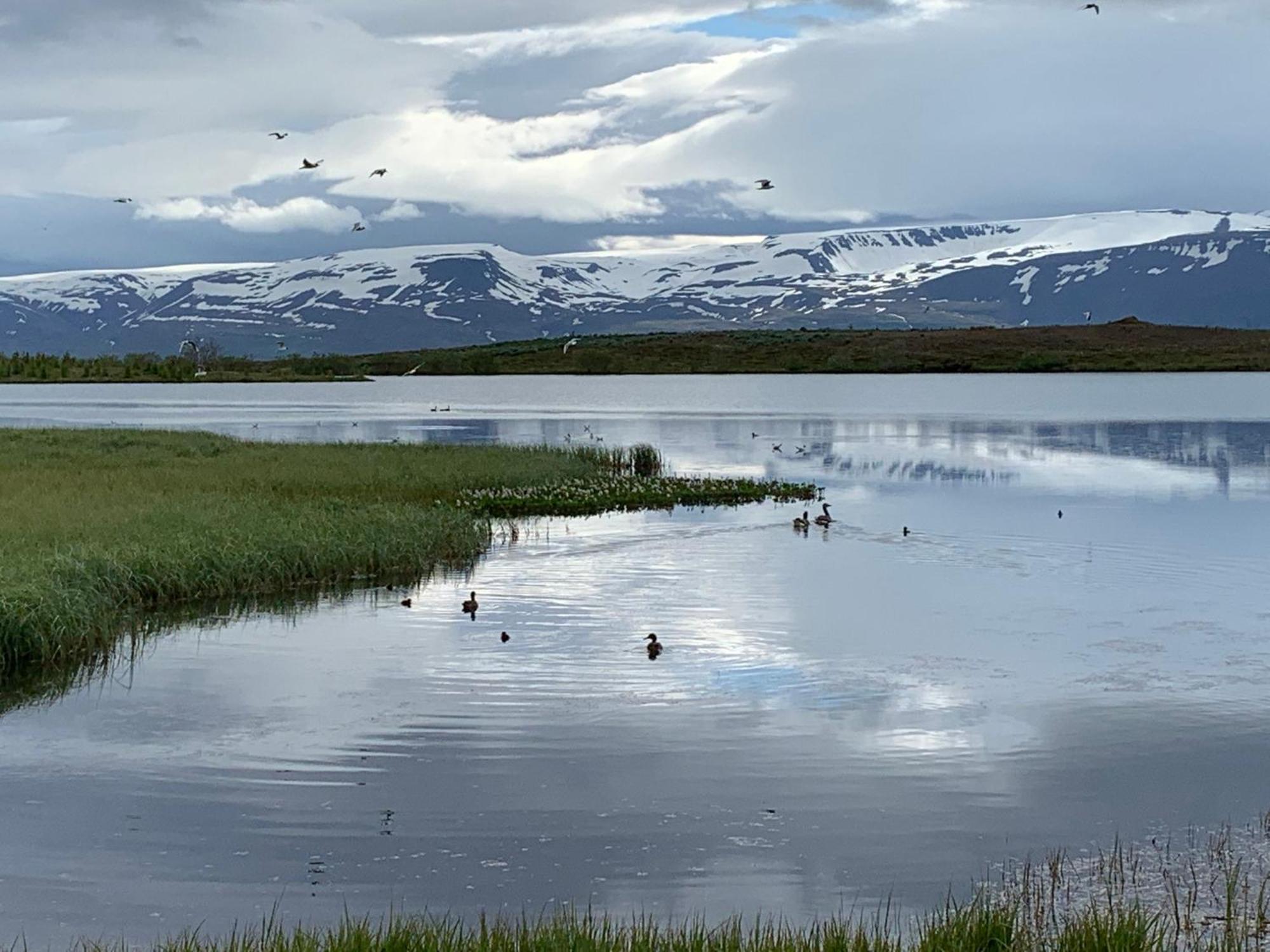 Kaldbaks-Kot Cottages Husavik Ngoại thất bức ảnh