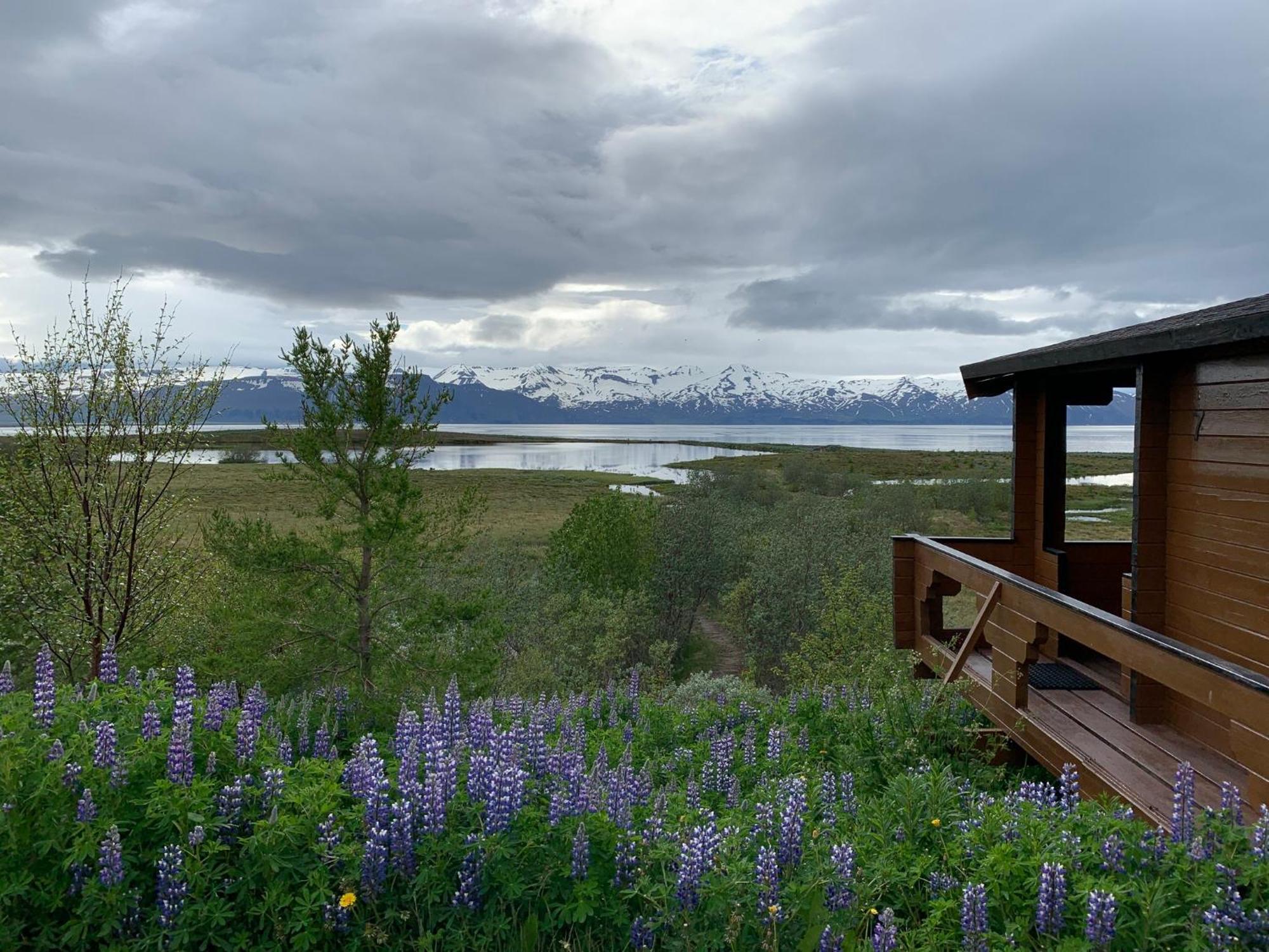 Kaldbaks-Kot Cottages Husavik Ngoại thất bức ảnh