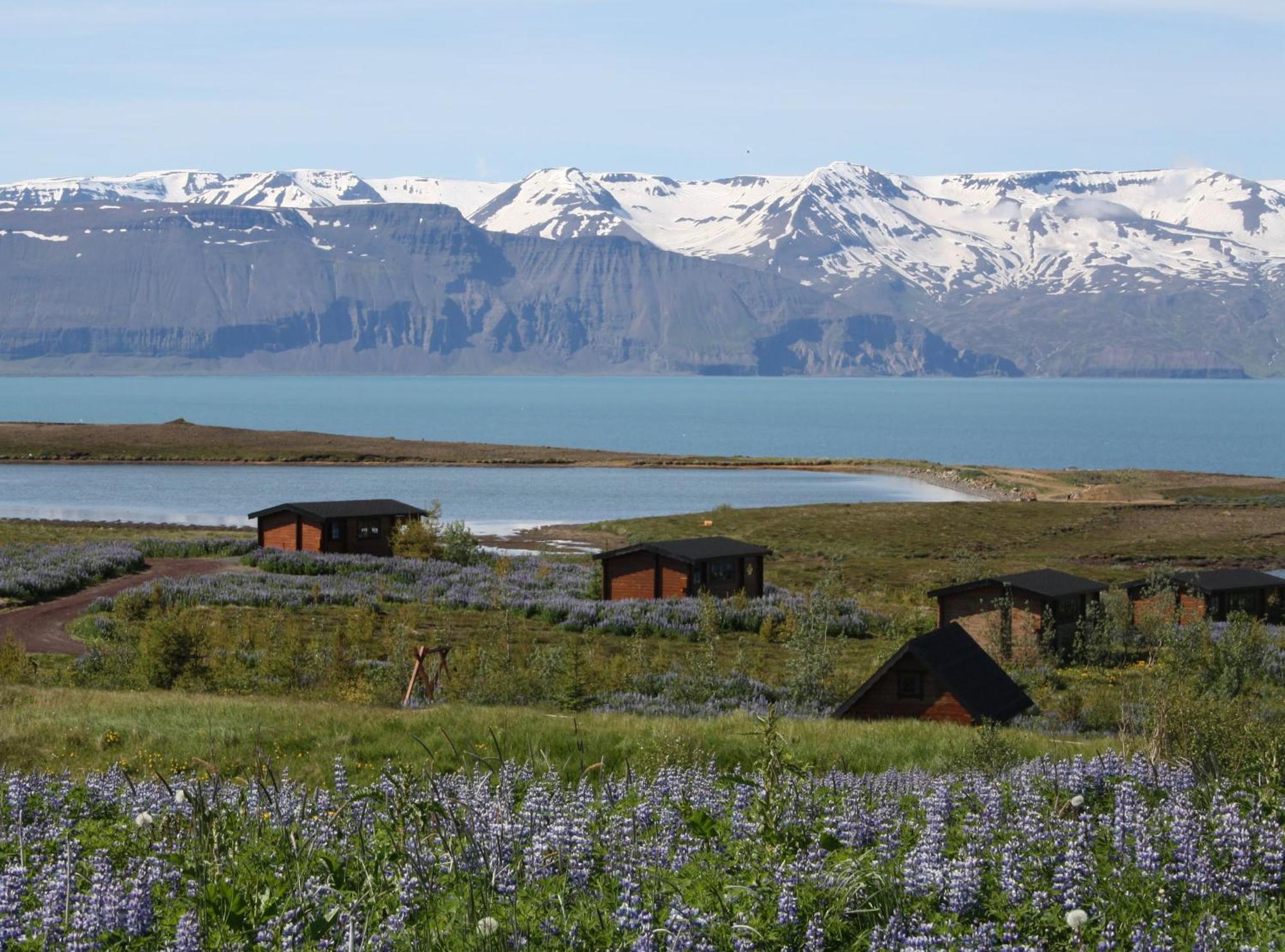 Kaldbaks-Kot Cottages Husavik Ngoại thất bức ảnh